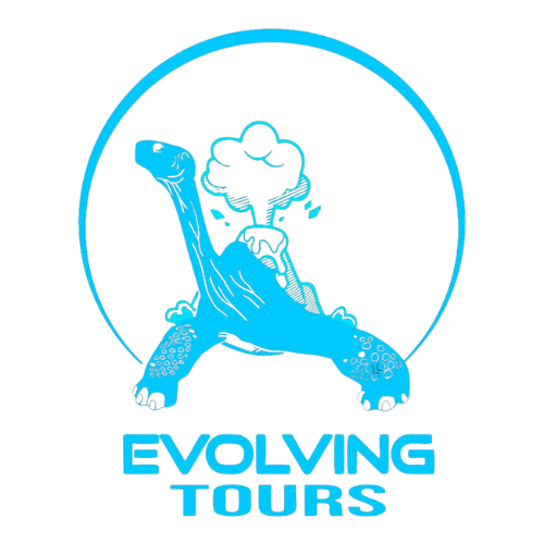 Evolving Tours