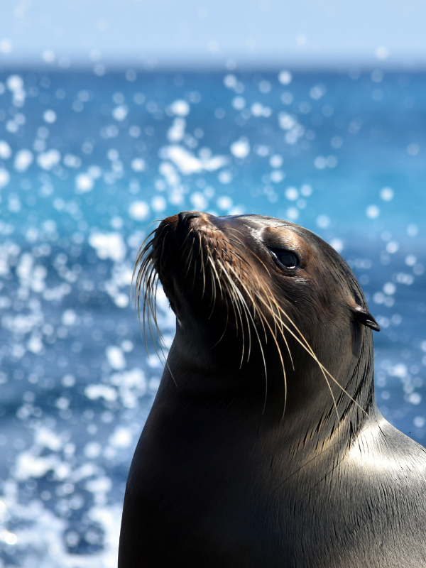 IMG - 2024-08-15T130736.653