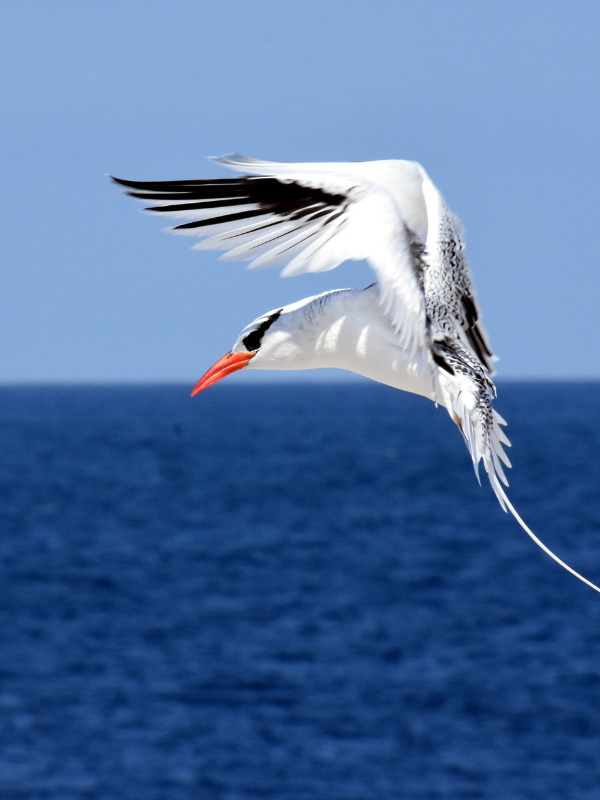 IMG - 2024-08-15T132600.276