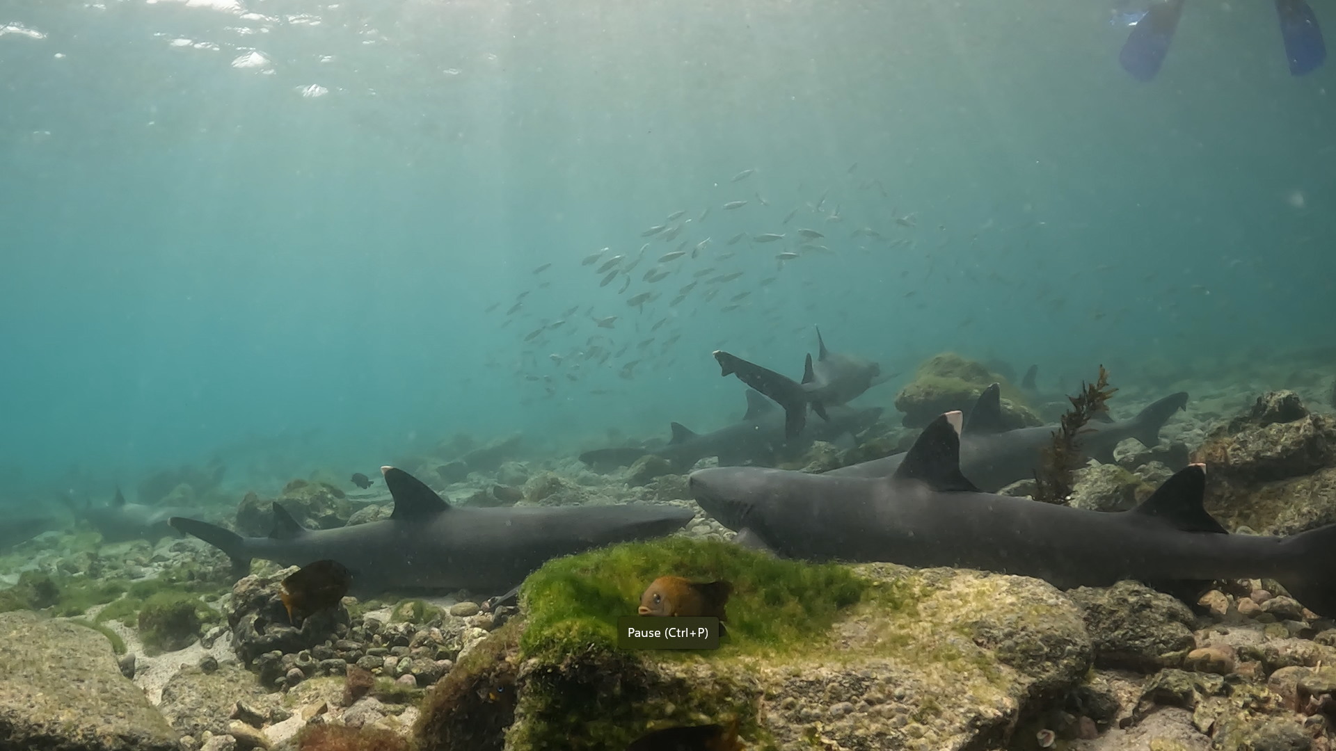 Screenshot 2024-12-08 003823