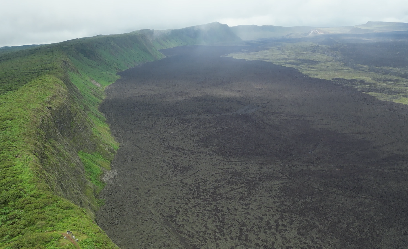 Screenshot 2024-12-31 162349